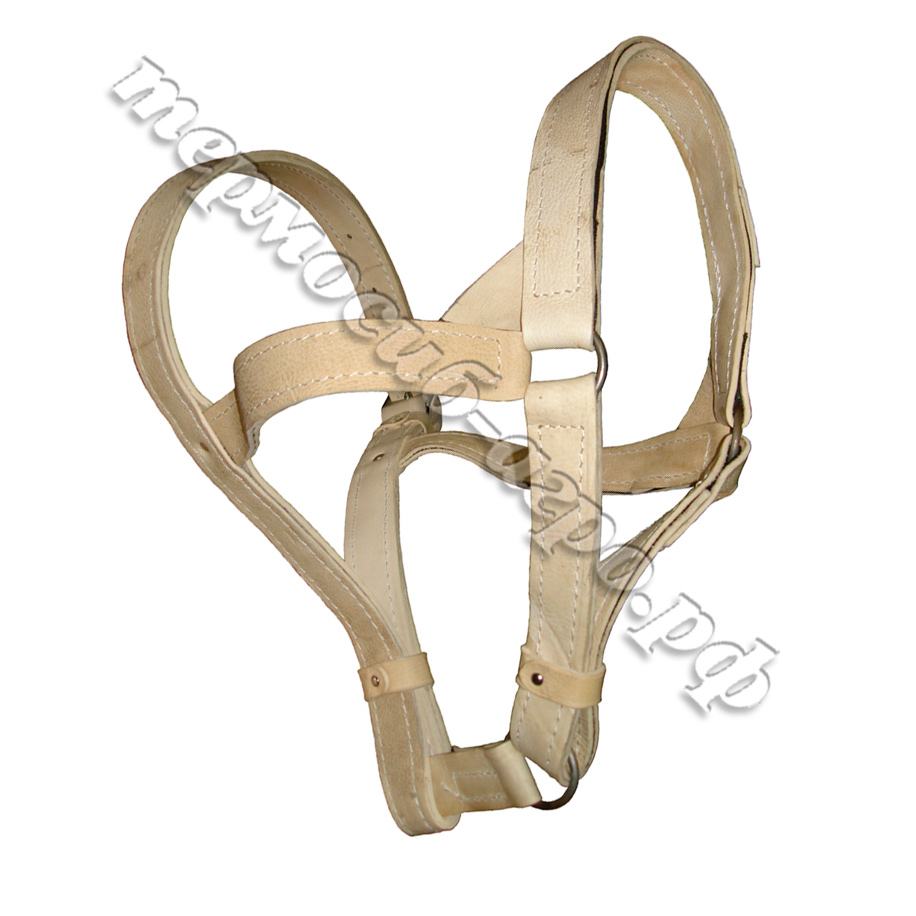 Недоуздок для тяжеловоза 35 мм усиленный